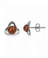 Amber Sterling Silver Small Celtic Stud Earrings - CS12N3EFNGL