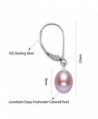 Sterling Freshwater Cultured Leverback Earrings%EF%BC%8CLavender in Women's Drop & Dangle Earrings