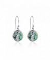 Sterling Silver Abalone Polished Earrings