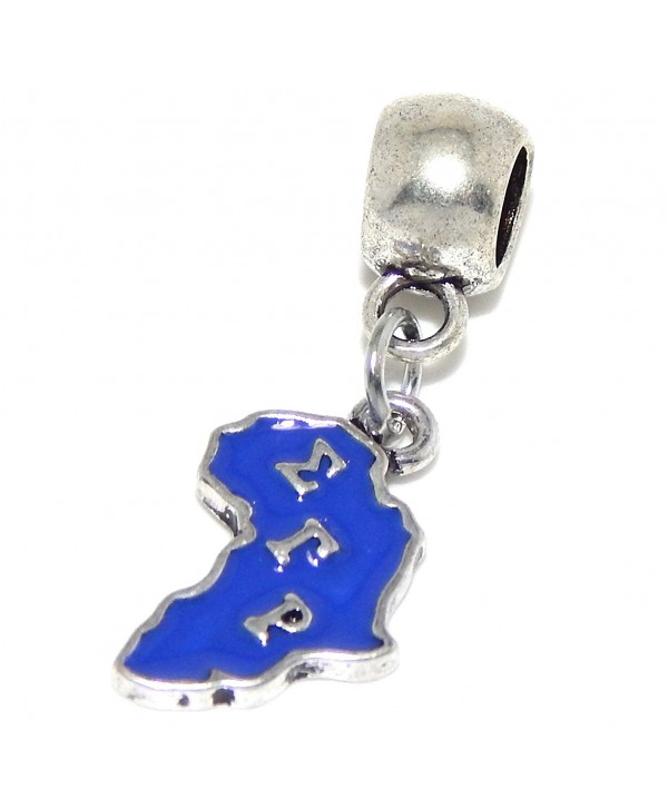 Jewelry Monster Dangling "Purple Africa/Sigma Gamma Rho" Charm Bead - CW125UD6ZW5