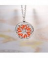 HooAMI Aromatherapy Essential Diffuser Necklace in Women's Lockets