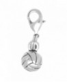 Clayvision Volleyball/Water Polo Ball Charm (Flat Back) Zipper Pull for bracelets and decoration - C4115VC0VJJ