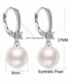 Dangle Earrings Sterling Hypoallergenic Imitation in Women's Drop & Dangle Earrings