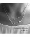 apop nyc Sterling Chevron Necklace