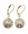Make a Wish Globe Earrings with Dandelion Seed- Handmade Fashion Art Jewelry - CX184S4TQY3