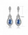 Sterling Teardrop Earrings Crystals Earring in Women's Drop & Dangle Earrings