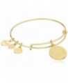 Alex Ani Expandable Rafaelian Gold Tone