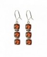 Amber Sterling Silver Square Earrings - CV113QYR83V