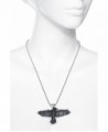 Black Raven Alchemy Gothic Necklace in Women's Pendants