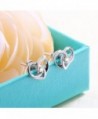 Sterling Silver Jewelry Heart Earrings in Women's Stud Earrings