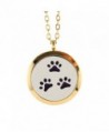 Dog Paw Print Essential Oil Diffuser Necklace Locket Pendant Gold Locket Opens Necklace - Purple - CR12J98DBSN
