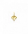 14k Yellow Gold Polished Small Mini Puffed 3-D Heart Charm - C2126Z7VOAR