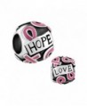 LovelyCharms Pink Ribbon Breast Cancer Hope Love Beads Fit Bracelets - CF12O9ZIX10