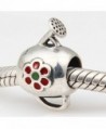 Choruslove Watering European Compatible Bracelet in Women's Charms & Charm Bracelets