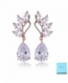 Crystal Rose Gold Dangle Earrings - 14k Rose Gold Plated - CA189XSWOQZ