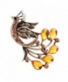 Elegant Peacock Shape Brooch alloy and Rhinestone Brooch Clothes Decoration 6653mm - Champagne - CJ12GDXREWV