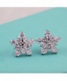 Ladies Crystal Earrings Earring Silver