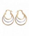 Followmoon 18K Gold Plated Women's Hoop Earrings - CF12C04BWHF