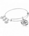 Alex Ani Wonder Rafaelian Bracelet