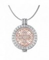 New Arrival Luxury Commemorate Coin Locket Pendant Necklace - Vintage Cross - CD12FKUSAAV