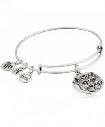 Alex and Ani Wild Heart Expandable Rafaelian Bangle Bracelet - Rafaelian Silver - CC125HEQO41