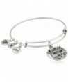 Alex and Ani Wild Heart Expandable Rafaelian Bangle Bracelet - Rafaelian Silver - CC125HEQO41