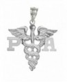 NursingPin - Physician Assistant PA Graduation Charm in Silver Jewelry & Gifts - CV1173YU0WB