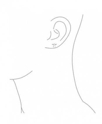 Petite Crystal Guardian earrings Rhodium in Women's Stud Earrings