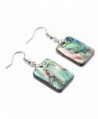 Natural Double faced Abalone Rectangle Earrings