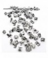 Ten assorted Animal Charm Beads for Snake Chain Charm Bracelet - CB119PM2AXP
