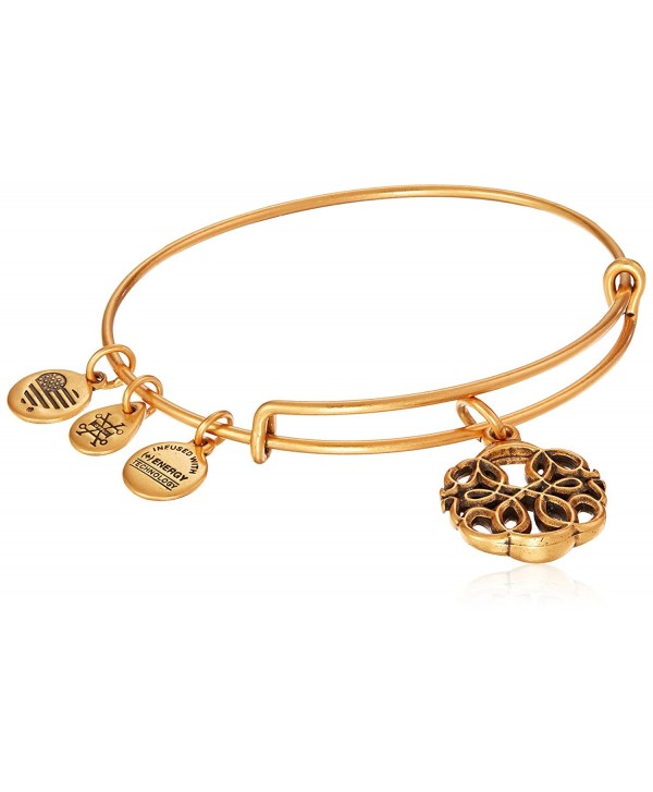 Alex and Ani Path of Life IV Bangle Bracelet - Rafaelian Gold - CF12NA3KMQG