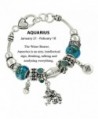 DianaL Boutique Aquarius Horoscope Bracelet