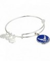 Alex Ani Forces Expandable Bracelet