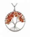 Gemstone Necklace BRCbeads Carnelian Stainless - Red Agate/Carnelian - CI12NEPB9FG