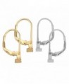 Convertiblez 2 Pair of Earring Converters Post to Lever Back 10k Gold Plated and Silver Alloy - C3121XSGMR9