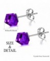 J F%C3%A9e SISN Purple Aurora Borealis Earrings
