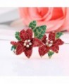 Boderier Christmas Clothing Decoration Brooches in Women's Brooches & Pins