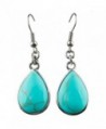 SUNYIK Women's Gemstone Dangle Earrings with Fishhook - 1-Green Howlite Turquoise(Teardrop) - CF12L2Z3LX1