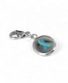 MyIDDr Custom Engraved Teal Awareness Charm - 316L Steel - CS125LNQI0D