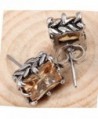 Titanium Stainless Charming Simple Earring