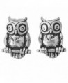 Corinna-Maria 925 Sterling Silver Owl Earrings Studs Tiny Mini Stainless Steel Posts and Backs - C2115W726PF