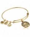 Alex and Ani Charity By Design Power of Unity Bangle Bracelet - Rafaelian Gold - C611NVC0WAX