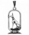 Anubis Pendant - Collectible Medallion Necklace Accessory Jewelry - CZ112T6LLPX