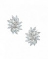 EVER FAITH Women's Cubic Zirconia Elegant Bridal Floral Leaf Pierced Stud Earrings Clear - Silver-Tone - CB11TXB8OON