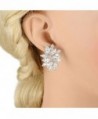 EVER FAITH Zirconia Earrings Silver Tone