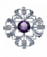 Sterling Silver Purple Stone Thistle Brooch - Scottish Pin - CR12N34TCRS