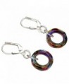 Sterling Silver Leverback Earrings Round Ring Donut Made with Swarovski Crystals - CM11LYNFN0L