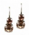Mariana "Jackie" Silver Plated Petite Round Crystal Drop Earrings - CW11J973MVB