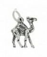 Sterling Silver Oxidized Double Sided Camel Charm - CA115VJ3UX1