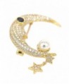 18k Gold-plated Brooch Pins Classic Stars and Crescent Dragonfly Owl Pattern Breastpins with Pearl CZ - CI187ZUOQHD